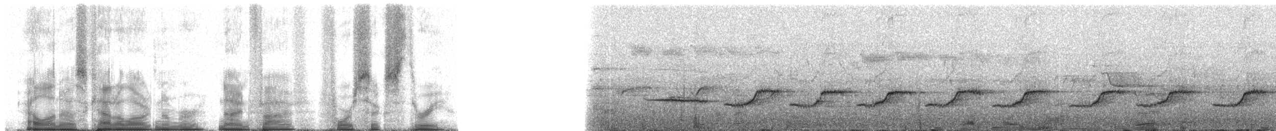 Forest Rock-Thrush (Forest) - ML95463