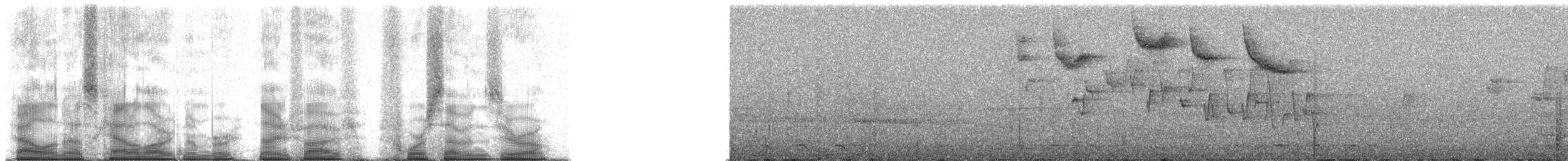 Madagascar Yellowbrow - ML95470