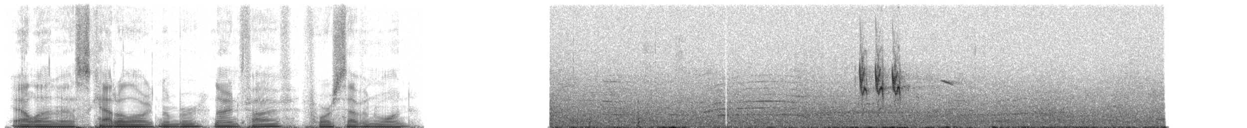 チェバートオオハシモズ（chabert） - ML95471