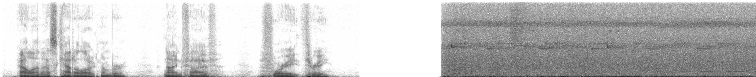 Ібіс чубатий - ML95483