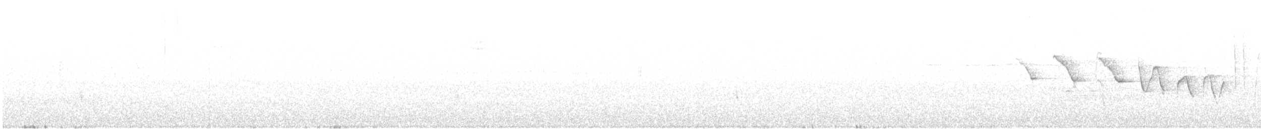 ミナミミズツグミ - ML95485061