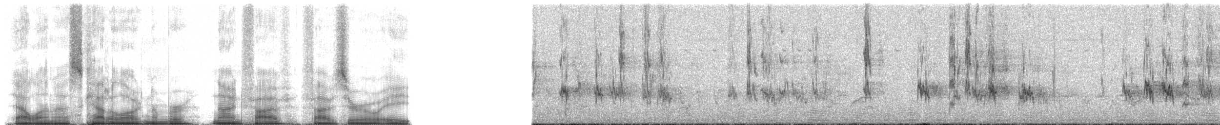 Grauköpfchen - ML95508