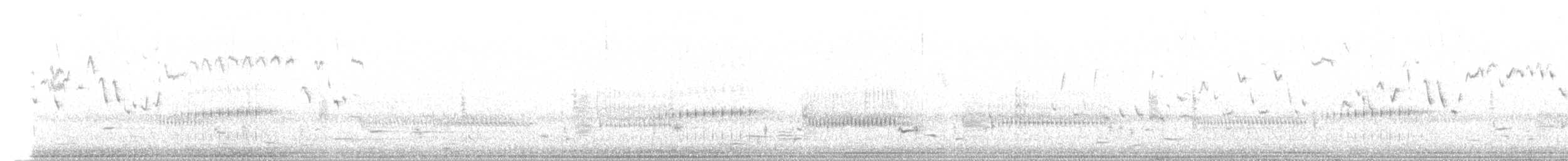 Winter Wren - ML95567301