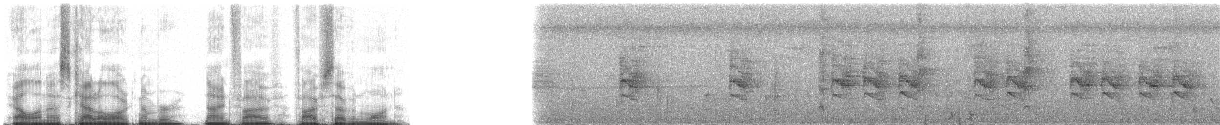 Martin-pêcheur malgache - ML95571