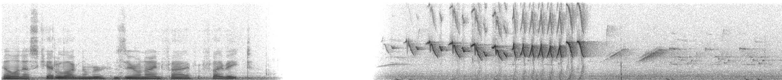 Желтогорлая древесница - ML9558
