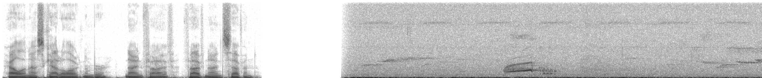 ニシジカッコウ - ML95597