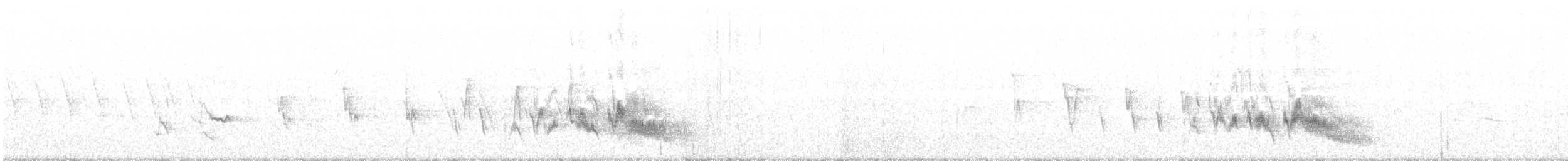 pěnkava tenerifská - ML95612561