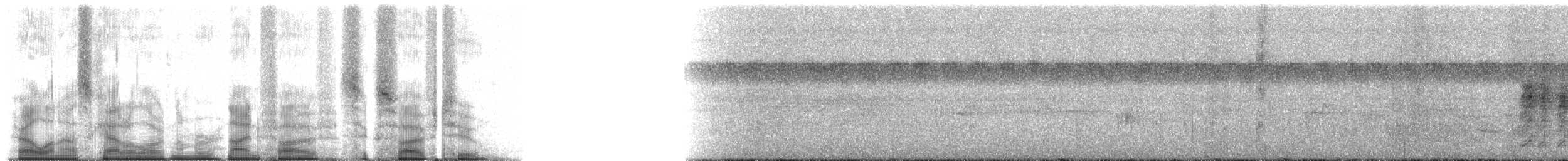 Чапля сіра (підвид firasa) - ML95652