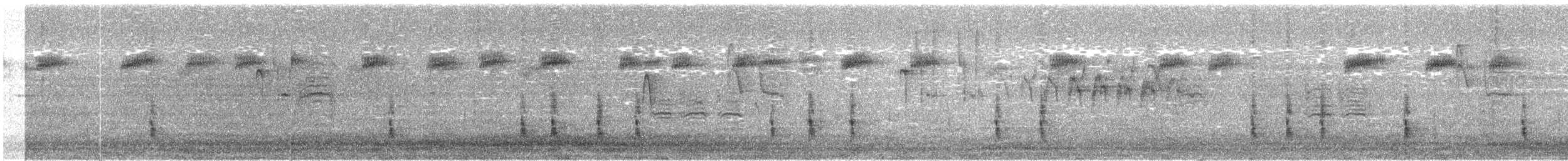 Дрізд-короткодзьоб плямистоволий - ML95674081