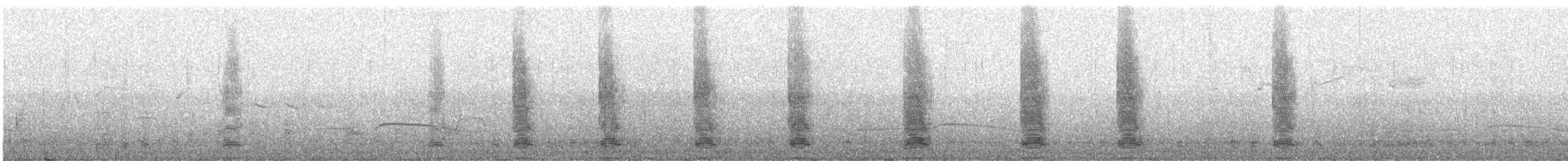 Бор галуу - ML95680381