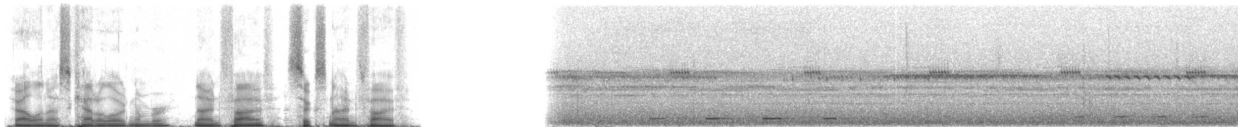 Сплюшка мадагаскарська (підвид rutilus) - ML95695