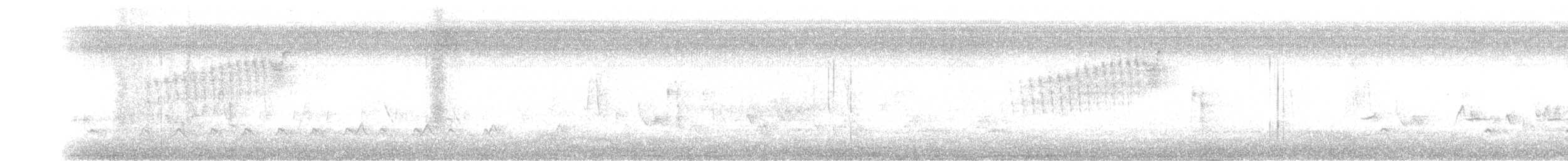 Meisenwaldsänger - ML95700011