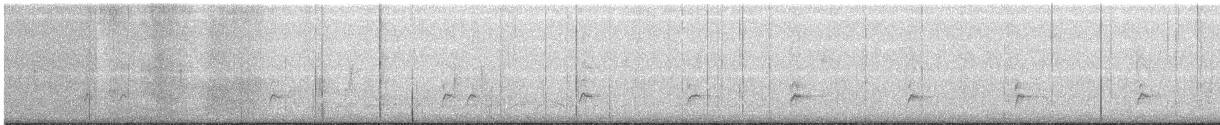Поплітник каролінський - ML95703361