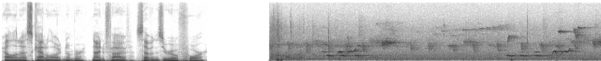 Kara Başlı Vanga (eduardi) - ML95704