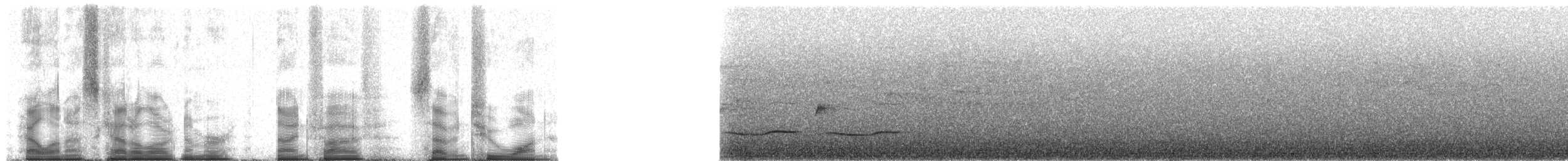 Forest Rock-Thrush (Forest) - ML95721