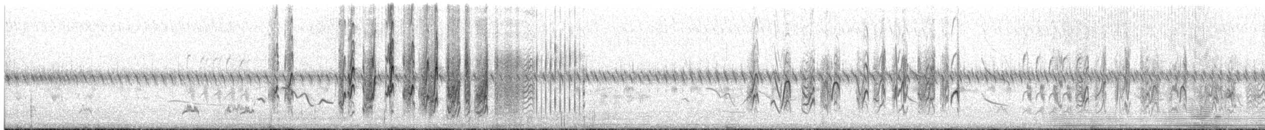 Rauchschwalbe (rustica) - ML95724731