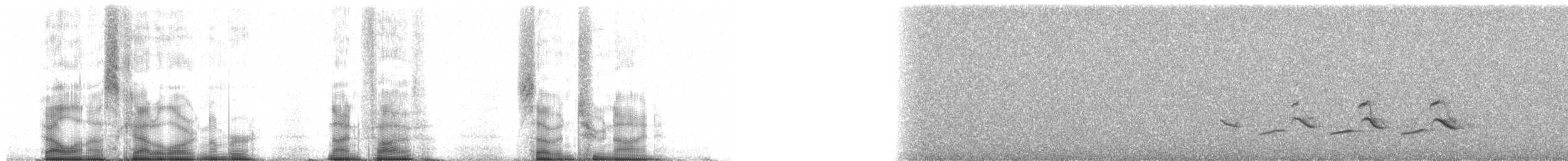 Forest Rock-Thrush (Benson's) - ML95729