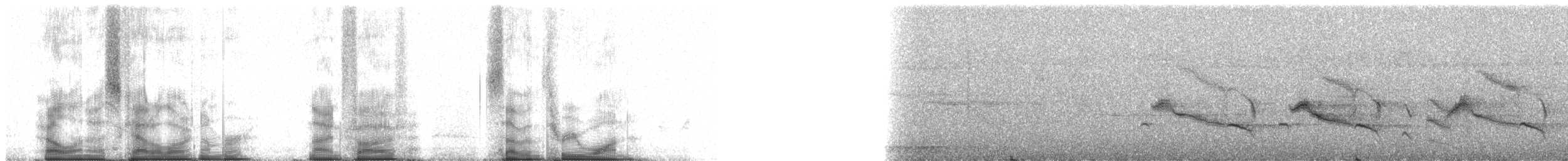 Forest Rock-Thrush (Benson's) - ML95731