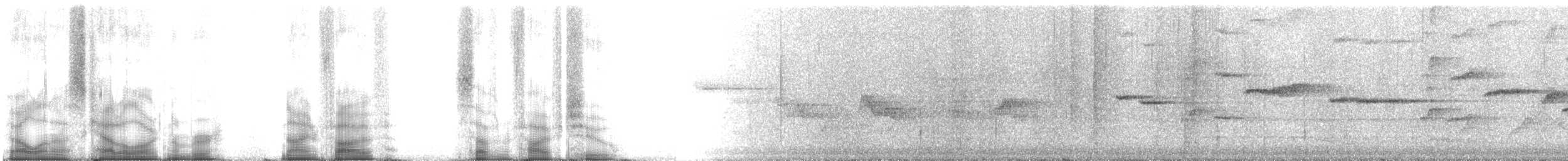 Шама мадагаскарська (підвид inexspectatus) - ML95752