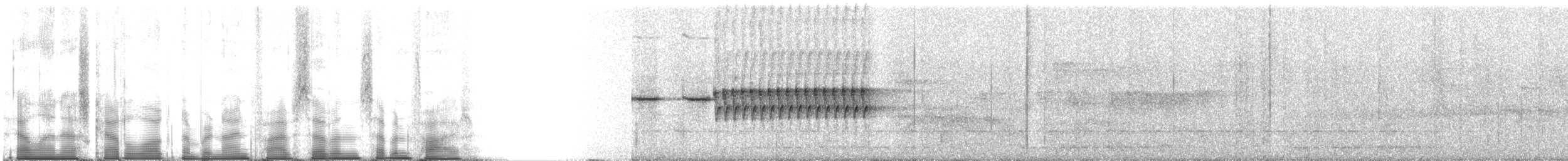 Stachelschwanz-Buschsänger - ML95775