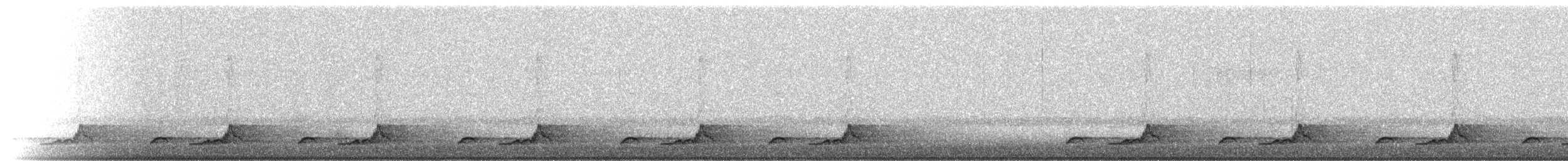 Schwarzkehl-Nachtschwalbe - ML95778631