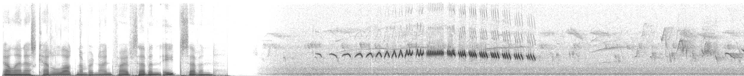 Stripe-throated Jery - ML95787