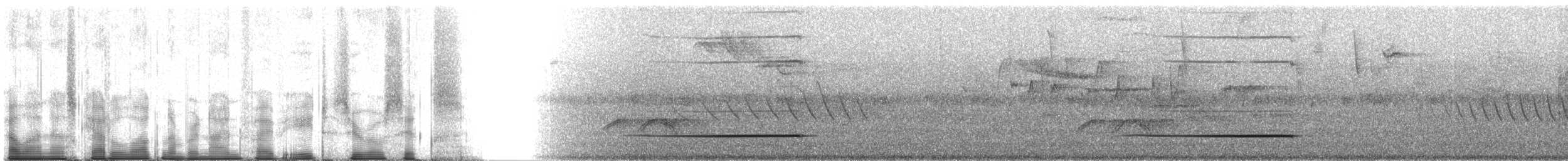 Hakenschnabelvanga (curvirostris) - ML95806