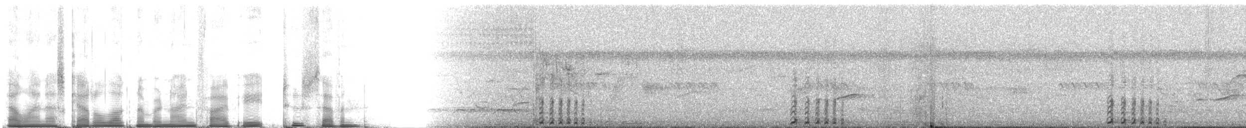 Schopfseidenkuckuck (pyropyga/maxima) - ML95827