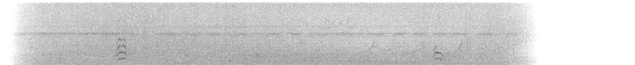 Royal Tern - ML95858371