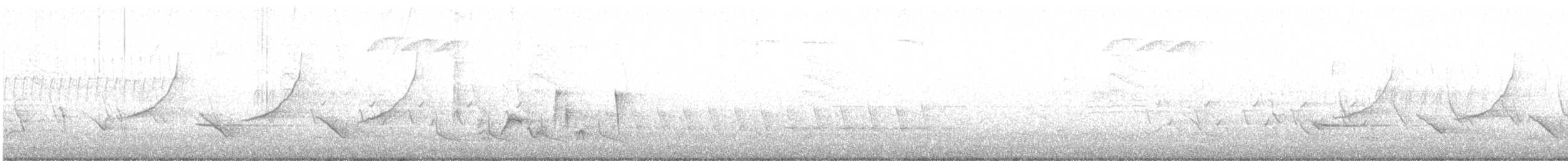 Vireo Ojiblanco - ML95863881