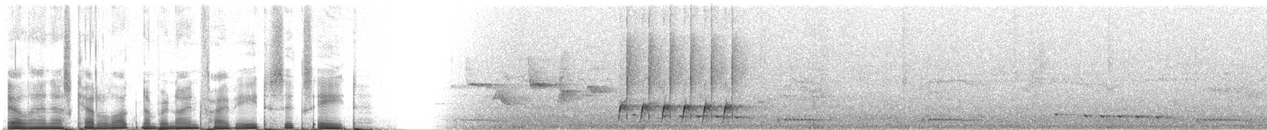 Schetbé roux - ML95868