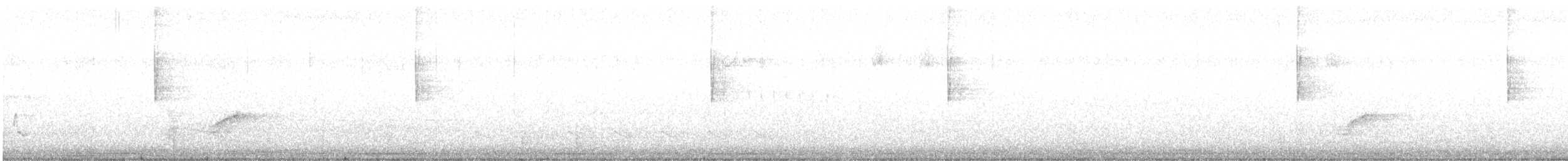 Трясогузковый певун - ML95868271