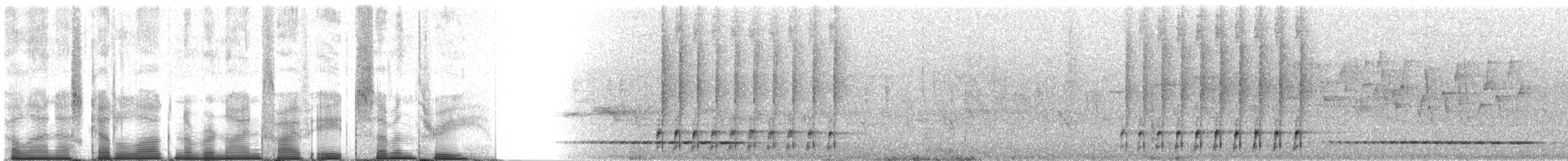 Schetbé roux - ML95873