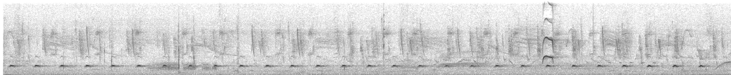 Nutting's/Salvadoran Flycatcher - ML95932811