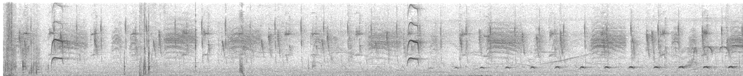 Nutting's/Salvadoran Flycatcher - ML95932831