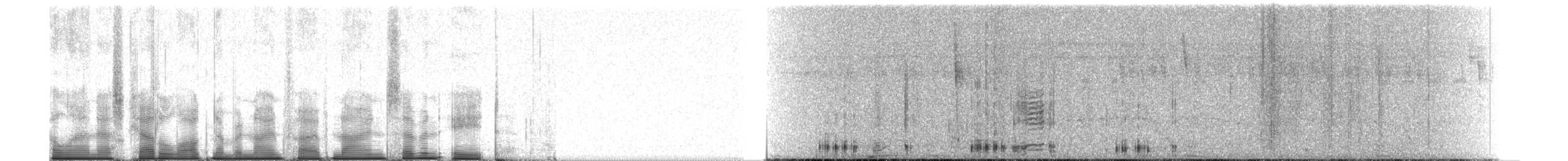 Héron pourpré (groupe purpurea) - ML95978