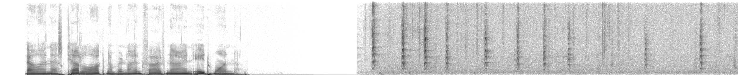 Mésite monias - ML95981