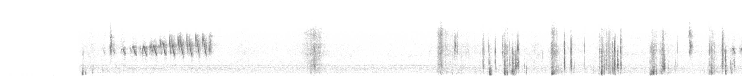 Grace's Warbler - ML95991041