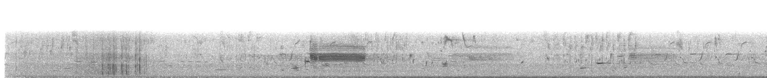 Troglodyte des marais - ML95998471
