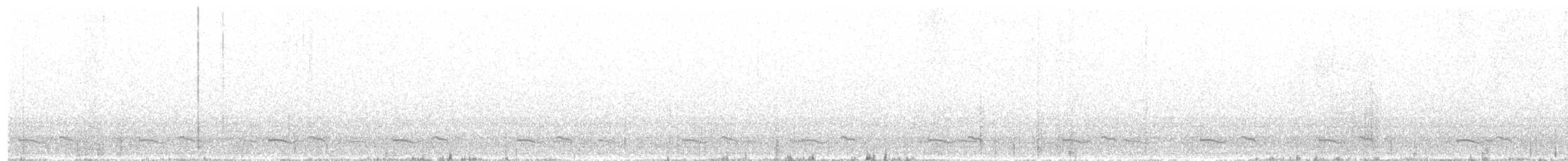 Winternachtschwalbe - ML96000221