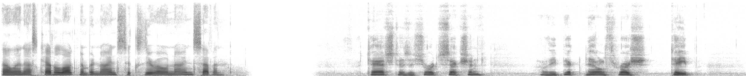 Bicknell's Thrush - ML96097