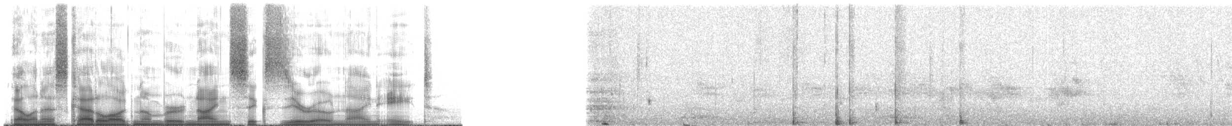 Galápagos Giant Tortoise - ML96098