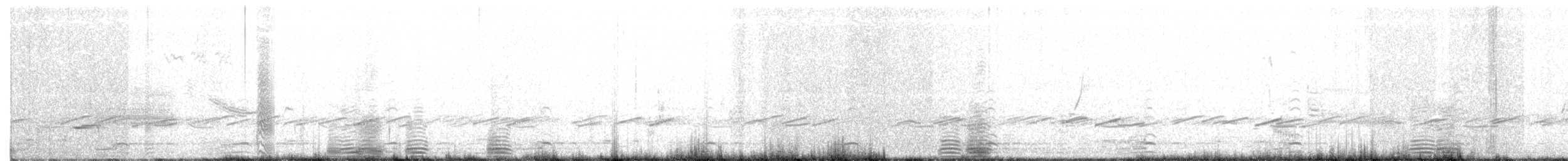 Trumpeter Swan - ML96165921