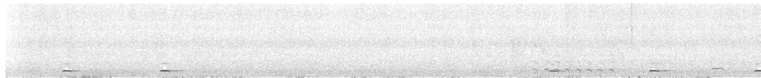 Northern Pygmy-Owl - ML96188971