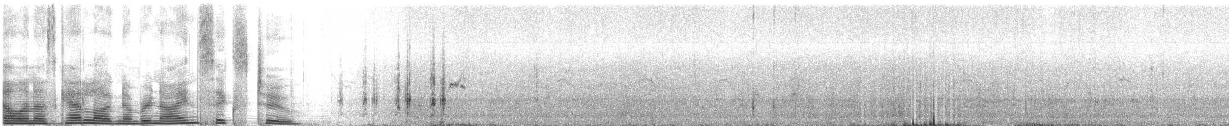 svartbrynalbatross (melanophris) - ML962