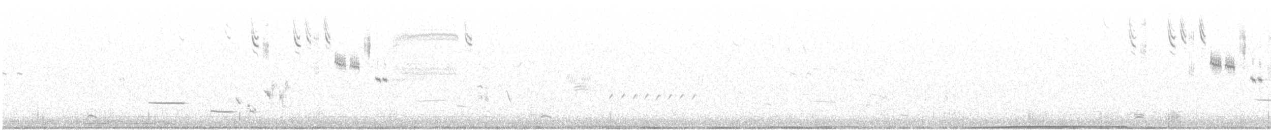 Savannah Sparrow - ML96209231