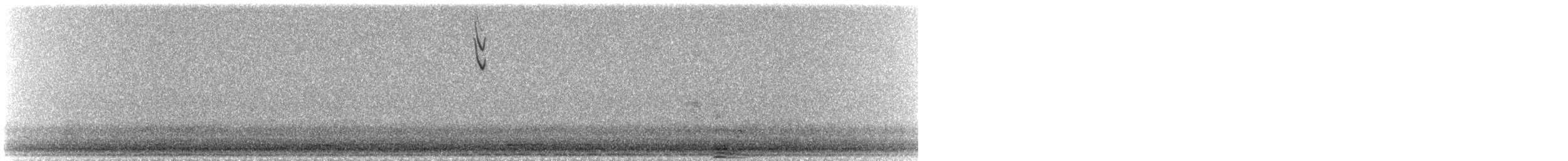 Savannah Serçesi [sandwichensis grubu] - ML96215211