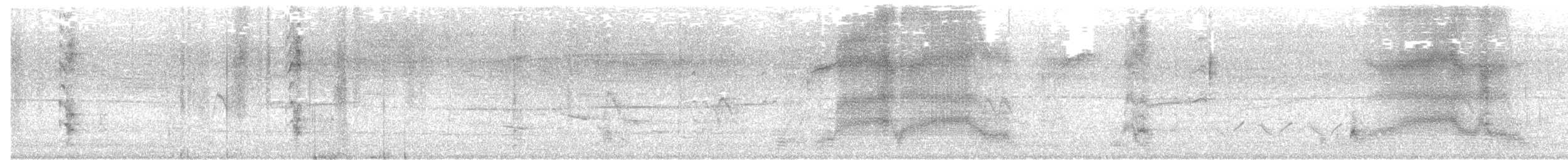 Tricolored Blackbird - ML96215531