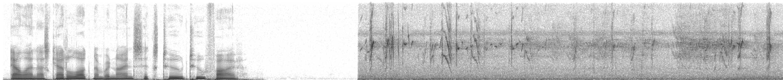 rødmaskeamorpapitt - ML96225