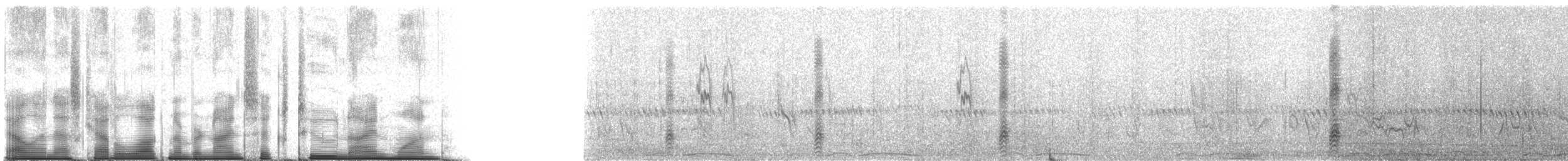 Schwarzschnabel-Baumhopf - ML96291